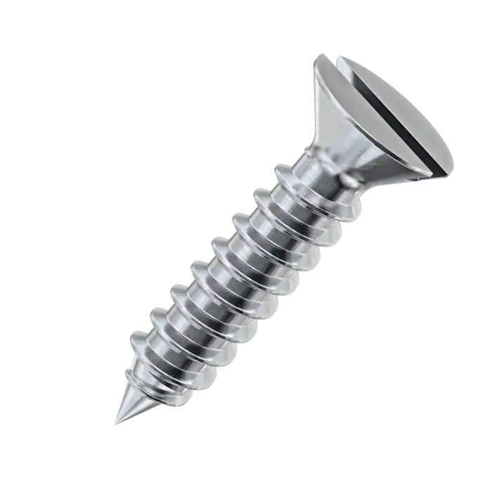 Stainless Steel Slotted Head Screws