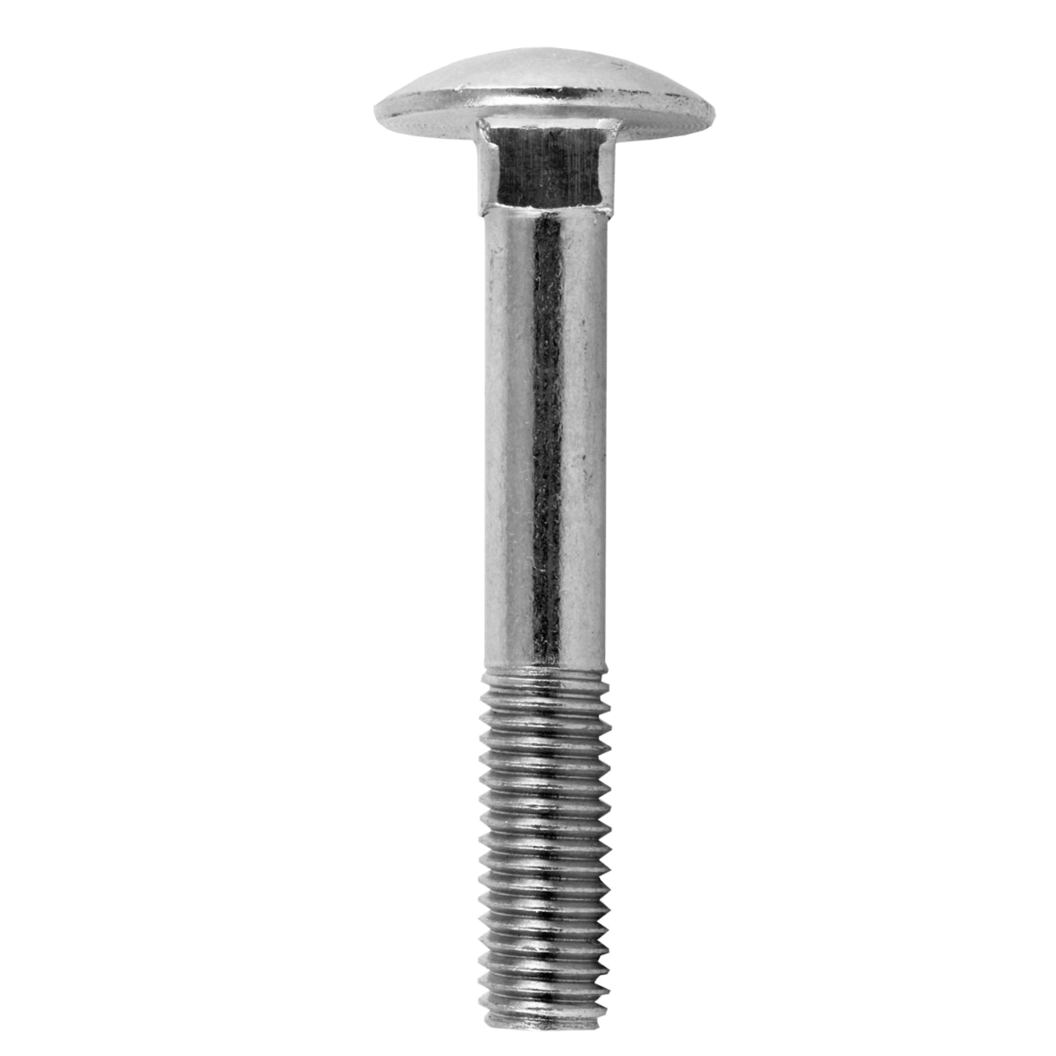 Carriage Bolt